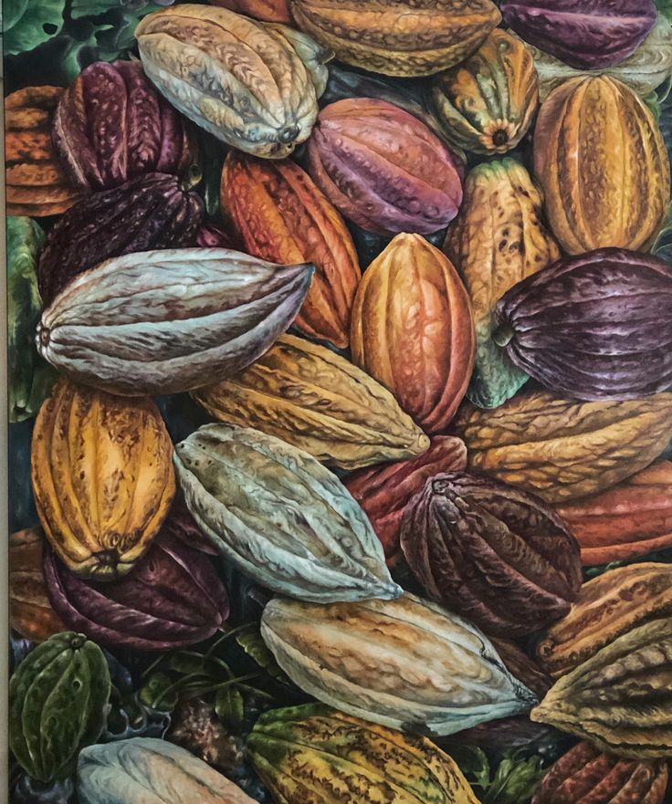 Quality-Assured Cocoa Exports